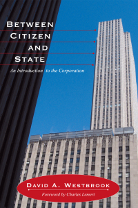 صورة الغلاف: Between Citizen and State 1st edition 9781594514043
