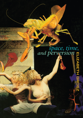 Cover image: Space, Time and Perversion 1st edition 9780415911368