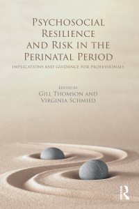 表紙画像: Psychosocial Resilience and Risk in the Perinatal Period 1st edition 9781138101579