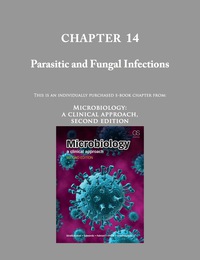 Cover image: Chapter 14 - Parasitic and Fungal Infections (Microbiology: A Clinical Approach) 2nd edition 9780815345138