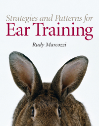 Omslagafbeelding: Strategies and Patterns for Ear Training 1st edition 9780131872356