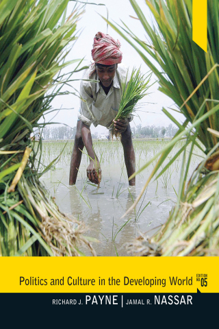 Cover image: Politics and Culture in the Developing World 5th edition 9781138430631