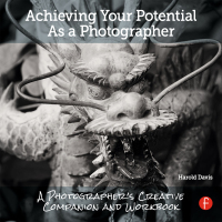 Immagine di copertina: Achieving Your Potential As A Photographer 1st edition 9781138826366