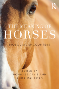 Imagen de portada: The Meaning of Horses 1st edition 9781138914551