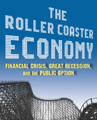 Titelbild: The Roller Coaster Economy 1st edition 9780765625380