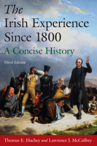 Cover image: The Irish Experience Since 1800: A Concise History 3rd edition 9780765625106