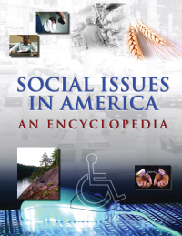 Imagen de portada: Social Issues in America 1st edition 9780765680617