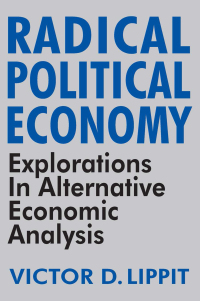 Cover image: Radical Political Economy 1st edition 9780873326070