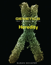 Cover image: Heredity 1st edition 9780765681362