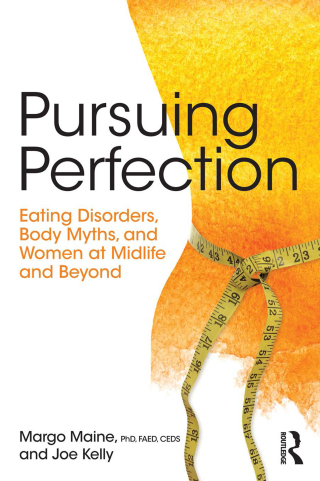 Cover image: Pursuing Perfection 1st edition 9781138890725