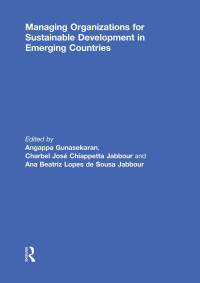 表紙画像: Managing Organizations for Sustainable Development in Emerging Countries 1st edition 9781138058972