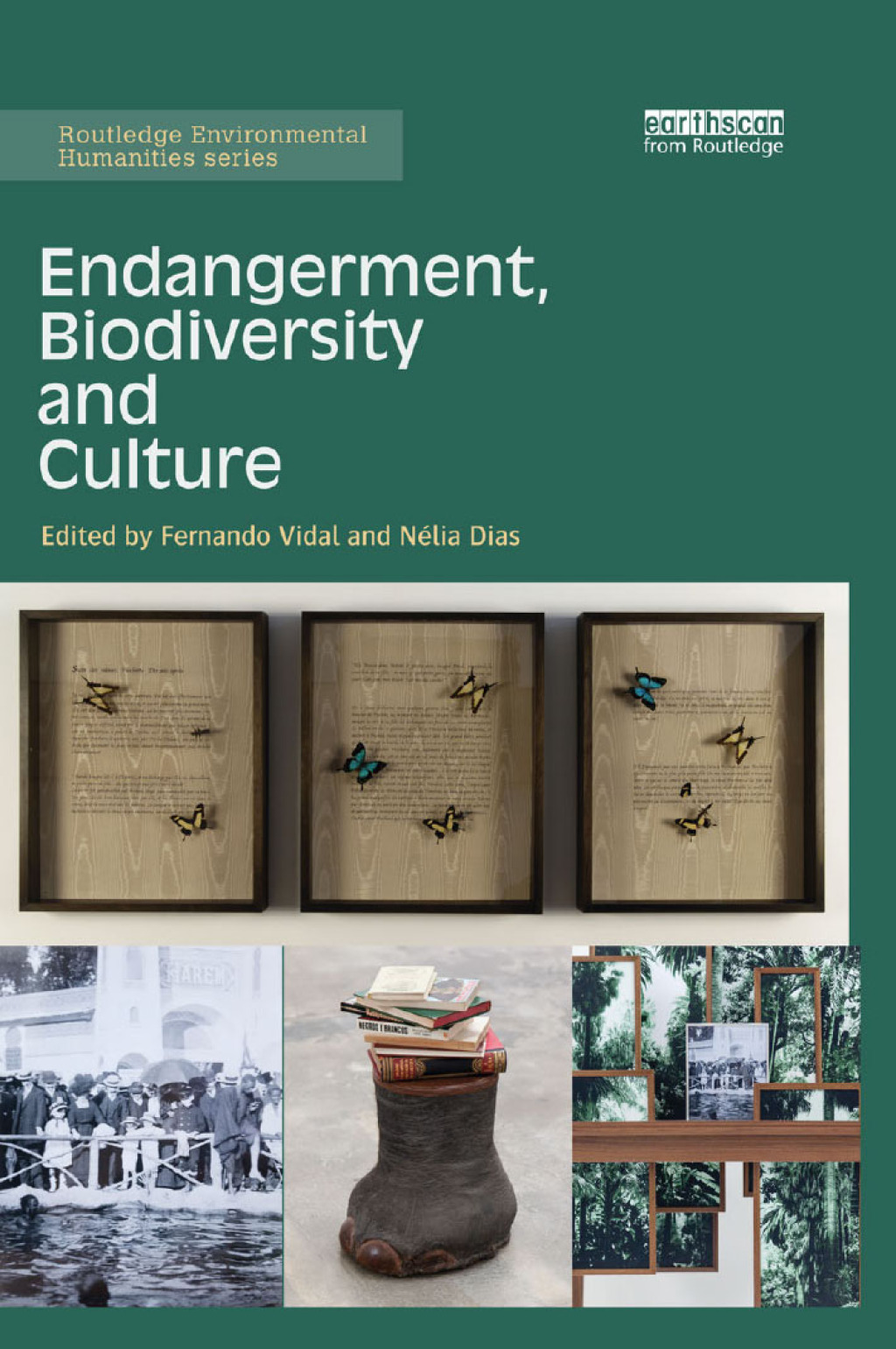 Endangerment, Biodiversity and Culture 1st Edition