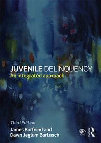 Cover image: Juvenile Delinquency 3rd edition 9781138843196