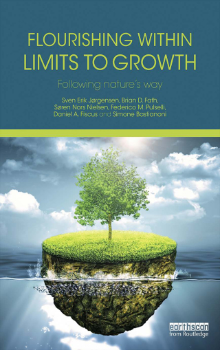 Cover image: Flourishing Within Limits to Growth 1st edition 9781138842533