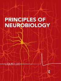 Cover image: Principles of Neurobiology 1st edition 9780815344940