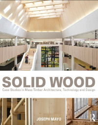 صورة الغلاف: Solid Wood 1st edition 9780415725293