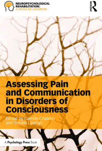 Cover image: Assessing Pain and Communication in Disorders of Consciousness 1st edition 9781138814820