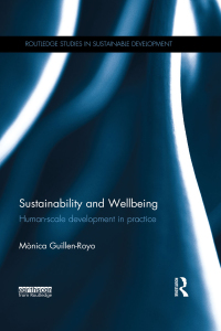 Cover image: Sustainability and Wellbeing 1st edition 9781138597556