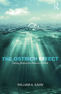 Imagen de portada: The Ostrich Effect 1st edition 9781138023512
