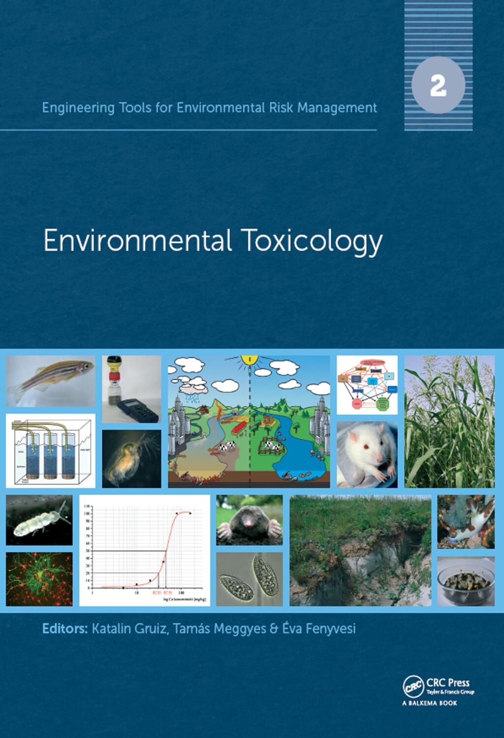 Engineering Tools for Environmental Risk Management 2. Environmental Toxicology 1st Edition