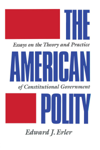 صورة الغلاف: The American Polity 1st edition 9780844816081