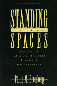 Cover image: Standing in the Spaces 1st edition 9780881632460