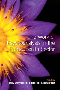 Omslagafbeelding: The Work of Psychoanalysts in the Public Health Sector 1st edition 9780415484299