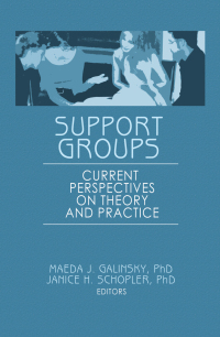 Cover image: Support Groups 1st edition 9781138983397