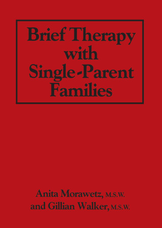 Cover image: Brief Therapy With Single-Parent Families 1st edition 9780876303504