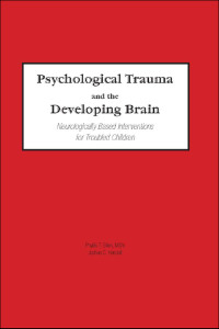 Omslagafbeelding: Psychological Trauma and the Developing Brain 1st edition 9780789017888