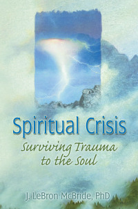 صورة الغلاف: Spiritual Crisis 1st edition 9780789004604