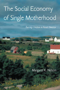 Omslagafbeelding: The Social Economy of Single Motherhood 1st edition 9780415947787