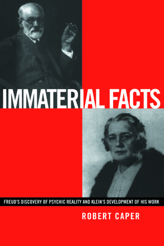 Imagen de portada: Immaterial Facts 1st edition 9780415220835