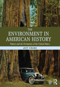 Titelbild: The Environment in American History 1st edition 9780415808729