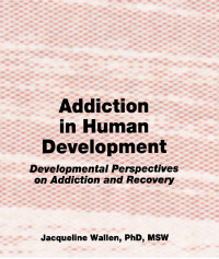 صورة الغلاف: Addiction in Human Development 1st edition 9781560242475