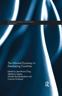 Immagine di copertina: The Informal Economy in Developing Countries 1st edition 9780415730341