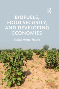 صورة الغلاف: Biofuels, Food Security, and Developing Economies 1st edition 9781138588912