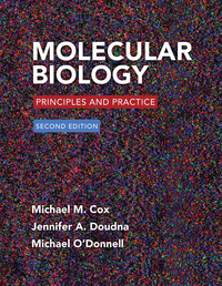 Cover image: Molecular Biology 2nd edition 9781464126147