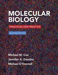 Cover image: Molecular Biology 2nd edition 9781319154134