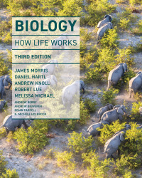 Cover image: Biology: How Life Works 3rd edition 9781319248048