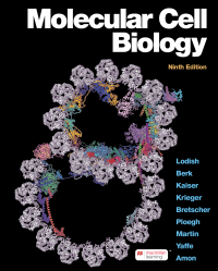 Cover image: Molecular Cell Biology 9th edition 9781319208523