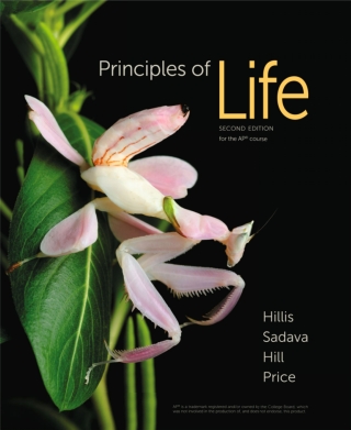 Titelbild: Principles of Life for the AP course 2nd edition 9781464156410
