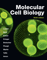 Cover image: Molecular Cell Biology 9th edition 9781319365486