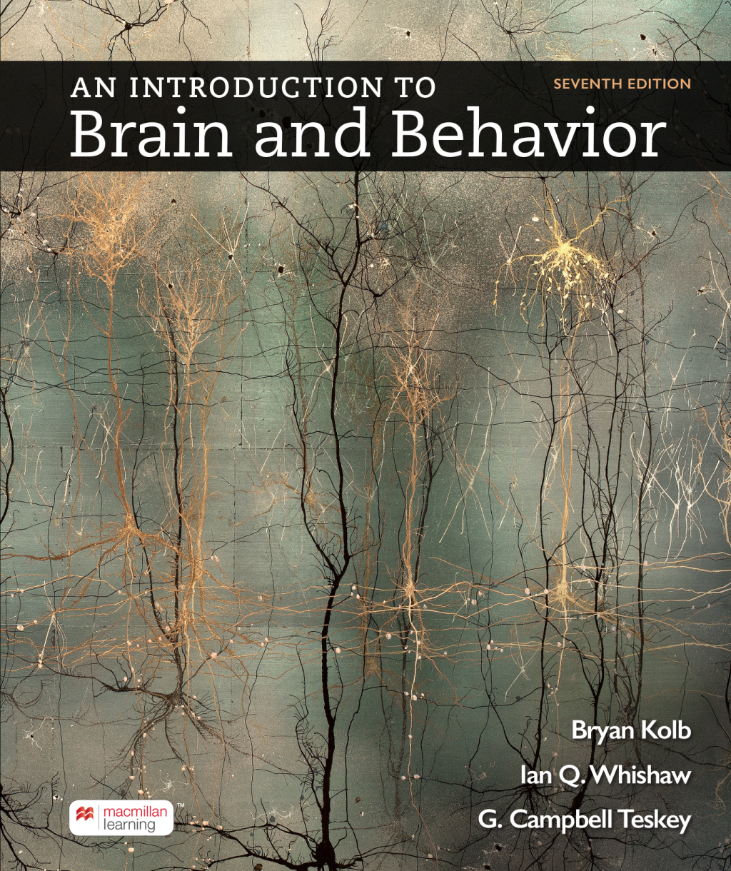 An Introduction to Brain and Behavior 7th Edition