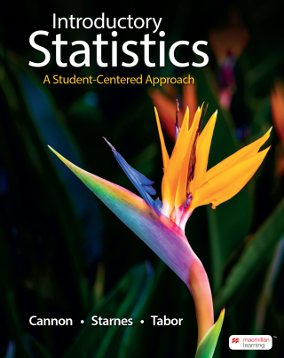 Cover image: Introductory Statistics: A Student-Centered Approach 9781319371746