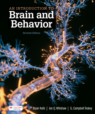 Cover image: An Introduction to Brain and Behavior (International Edition) 7th edition 9781319508432