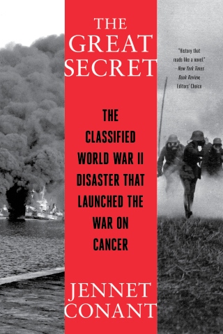 Cover image: The Great Secret 9780393868432