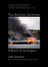 Immagine di copertina: This Brilliant Darkness: A Book of Strangers 9781324075196