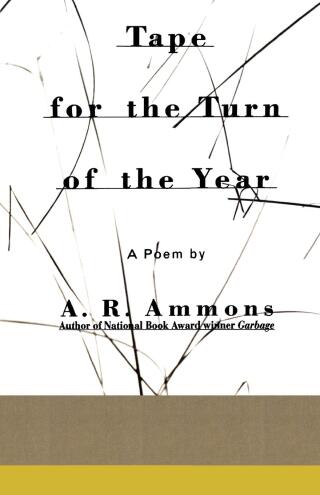 Cover image: Tape for the Turn of the Year 9780393312041