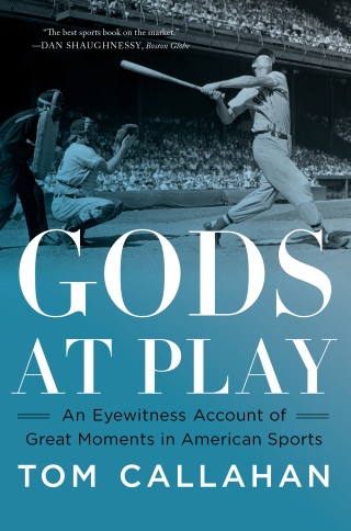 Cover image: Gods at Play 9781324021971